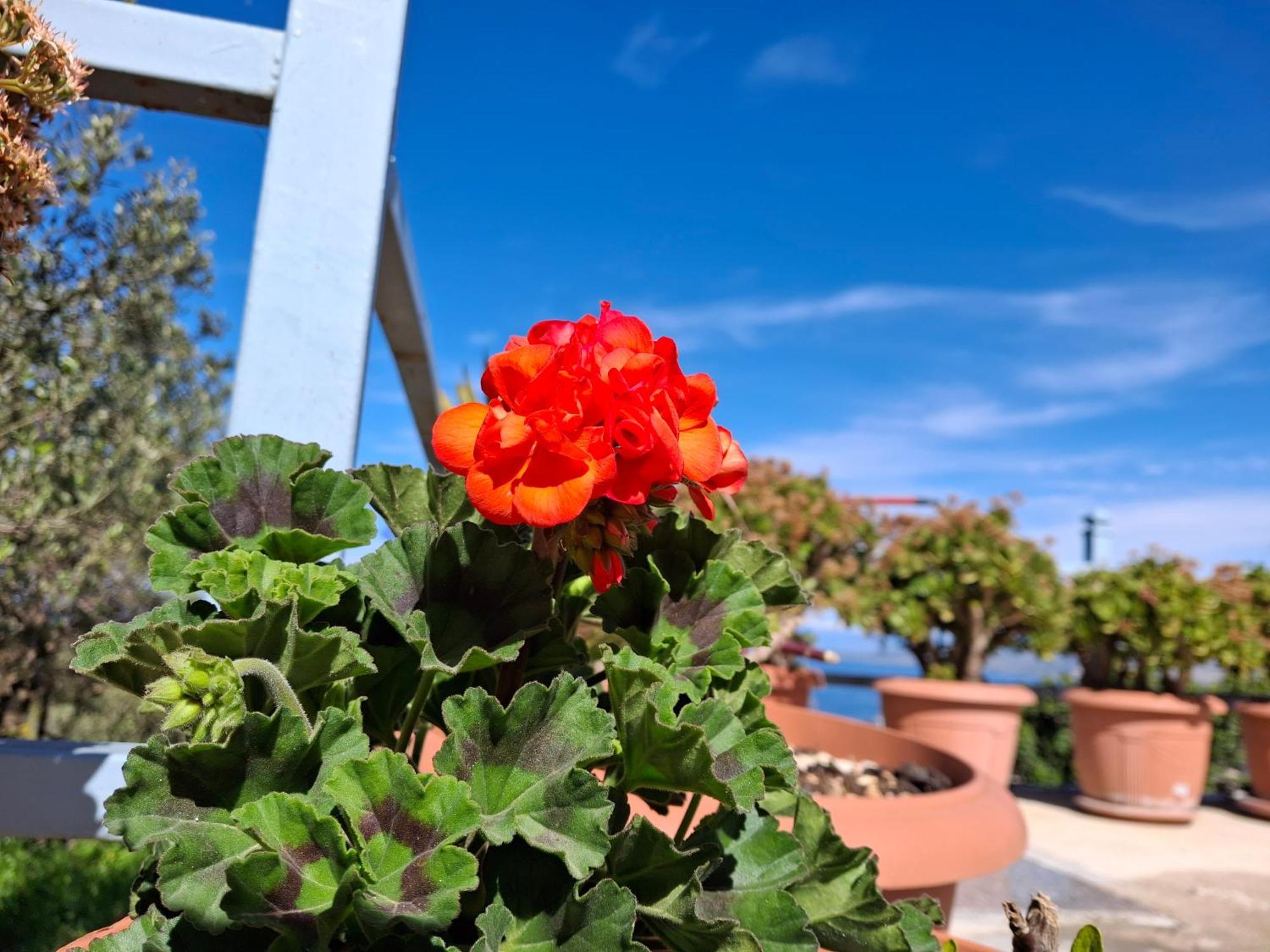 Amar Seaside Appartement Ksamil Buitenkant foto