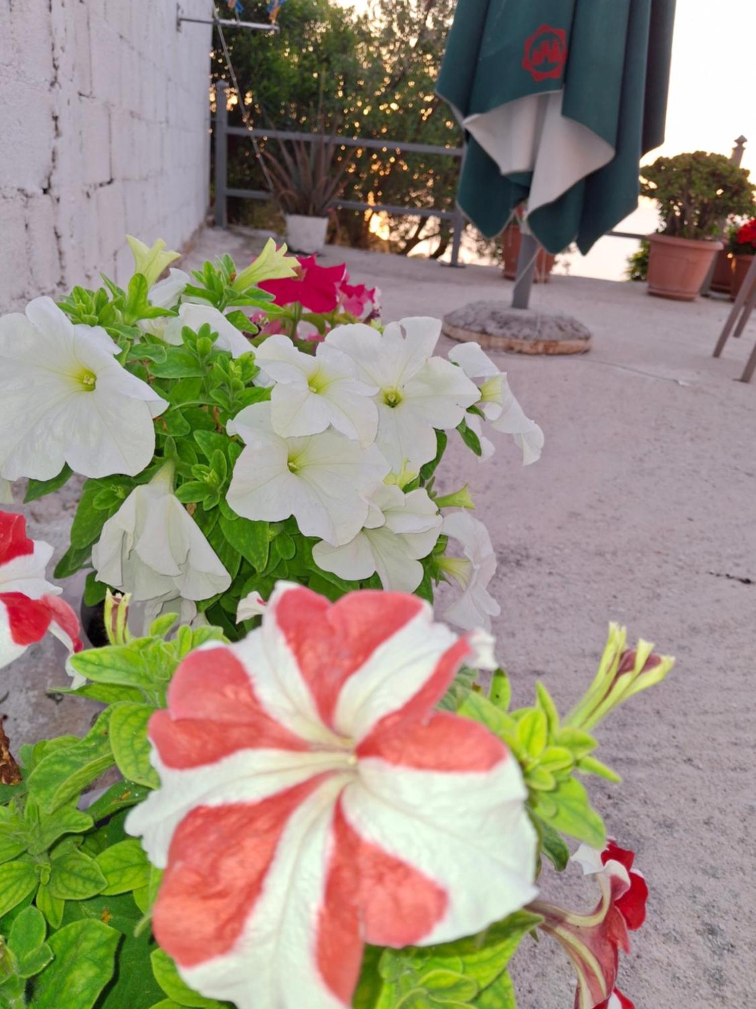 Amar Seaside Appartement Ksamil Buitenkant foto